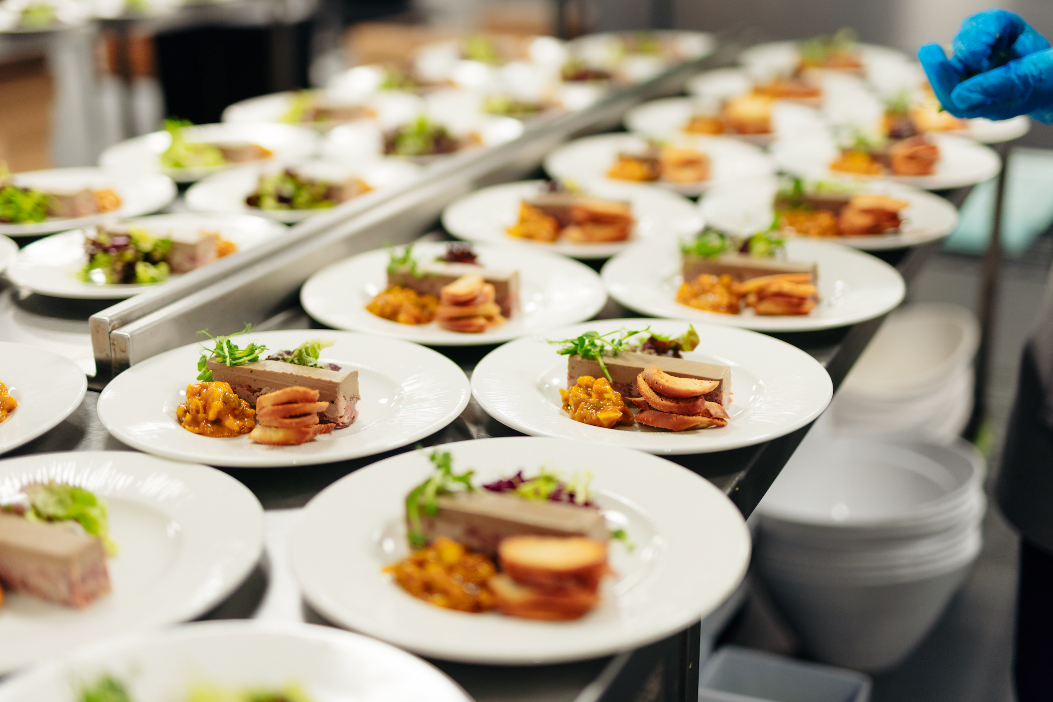 Rows of a pâté starter plated up